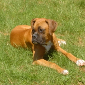 A day relaxing in the sun