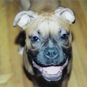 Smile