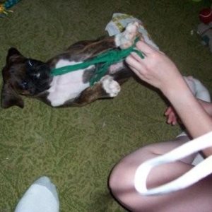 C'mon give me the string