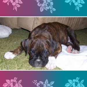 Now i am just the cutiest thing