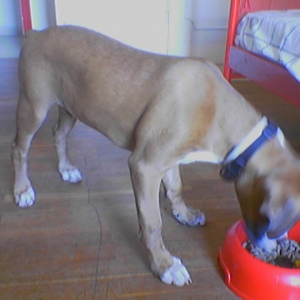 food time!