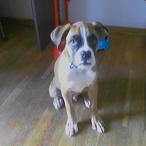 where s the treat?