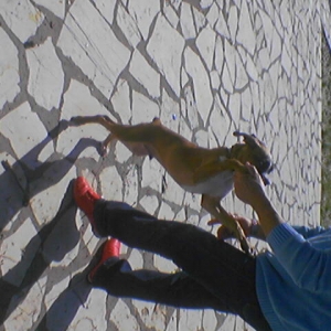 on foot