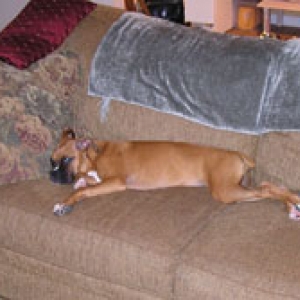 Sleep