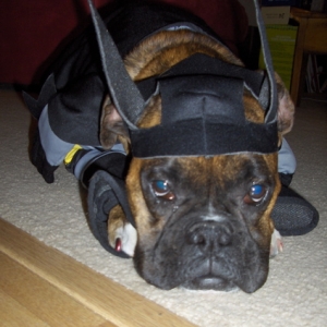 Not amused!