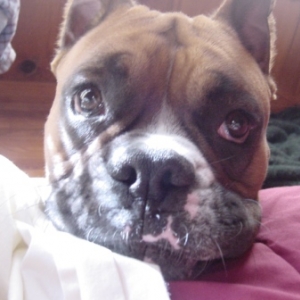 Wake Up Mommy!