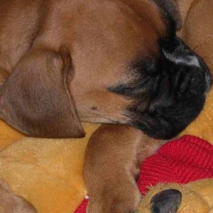 Goooooooood Night