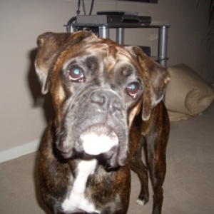 Elvis loves to pose!