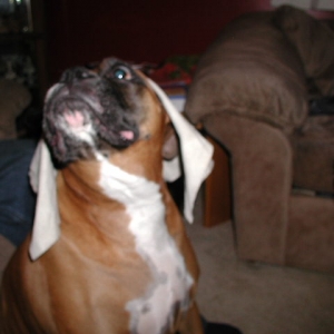 who put that on me?