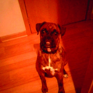 Steeler sitting pretty!