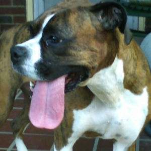 look at that tounge