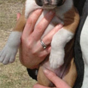Demi 6 weeks