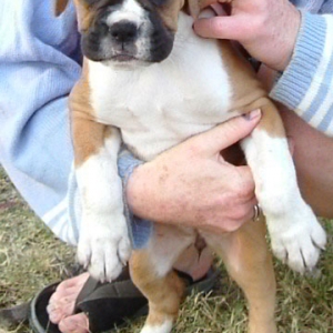 Demi 8 weeks