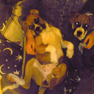 Couch Clowns