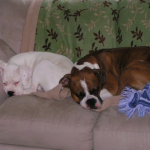 Must be naptime!