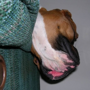 Sound asleep