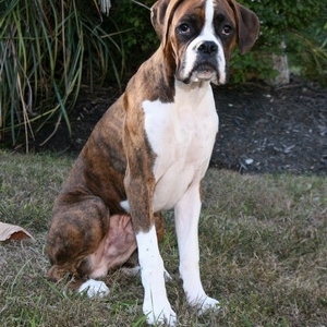 Baxter6mo
