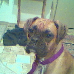 Laila looking pretty