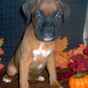 baby Louie at  8 weeks