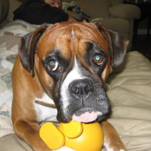 brutus and his cuz