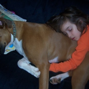 What are dogs for? :)