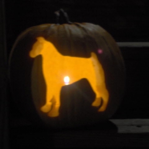 Pumpkin Carving