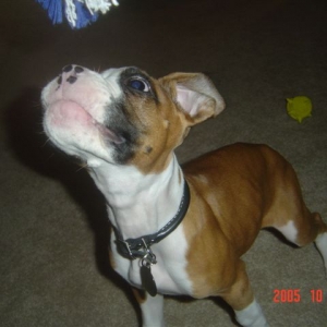 ooh whatcha got there?