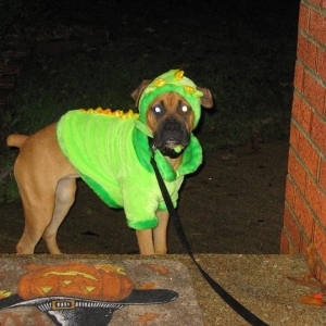 Happy Halloween!!!!