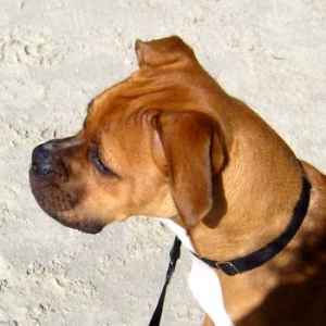 Watching the waves
