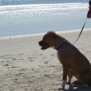 At the beach