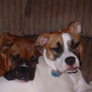 Fur Pillow