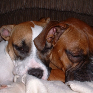 Best Friends