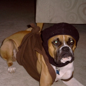 Halloween--Ninja Dog!!