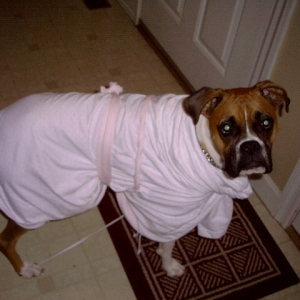 Toga Party!!!