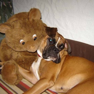 Best_Friends