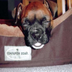 bailey_0031
