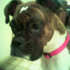 my girl!