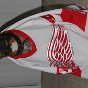 Red Wings No. 1 Fan