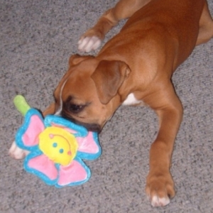 Keeya_with_toy