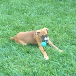 Keeya_with_Ball