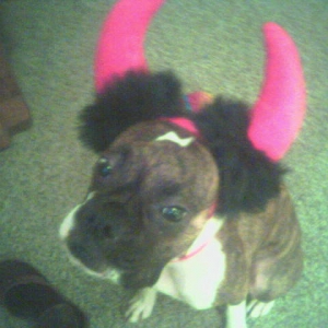 1st halloween