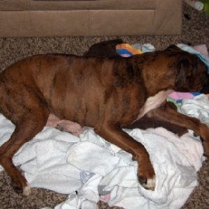 So much for the laundry