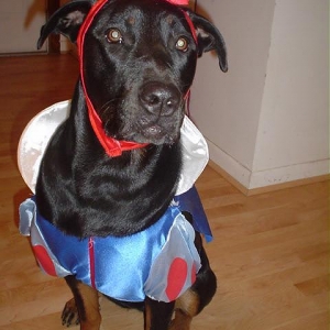 Snow White :)