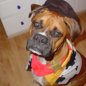 tough guy