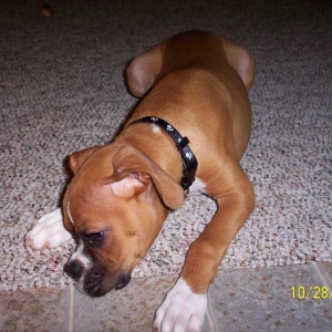 Samson2_10_28_05
