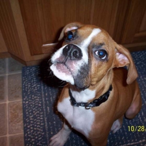 Samson3_10_28_05