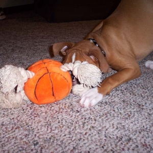 You can't see me...I'm hiding.