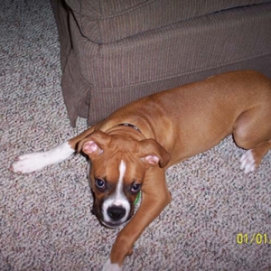 Samson_11_1_05