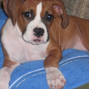 Zoey3