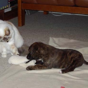 Sharing